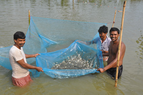 jgvk-fishery